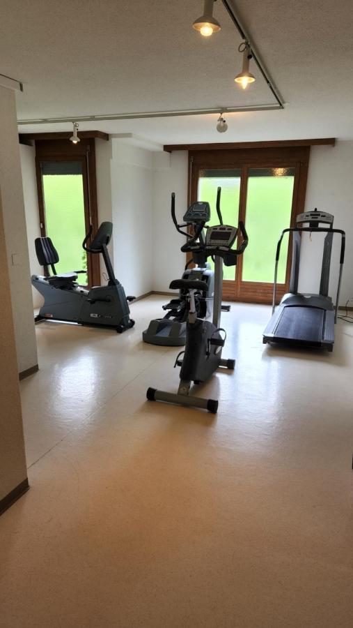 Schoene Ferienwohnung In Traumlage Fewo Solohike Seelisberg Exterior photo
