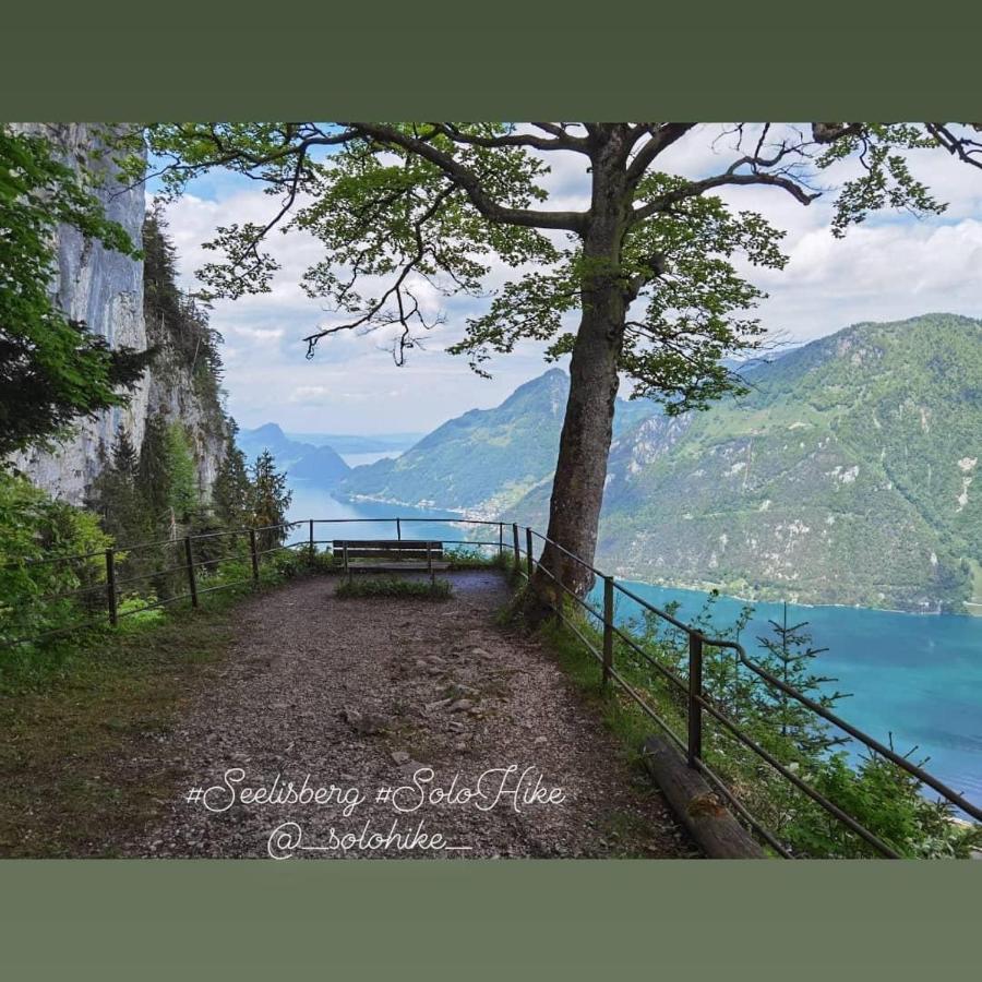 Schoene Ferienwohnung In Traumlage Fewo Solohike Seelisberg Exterior photo