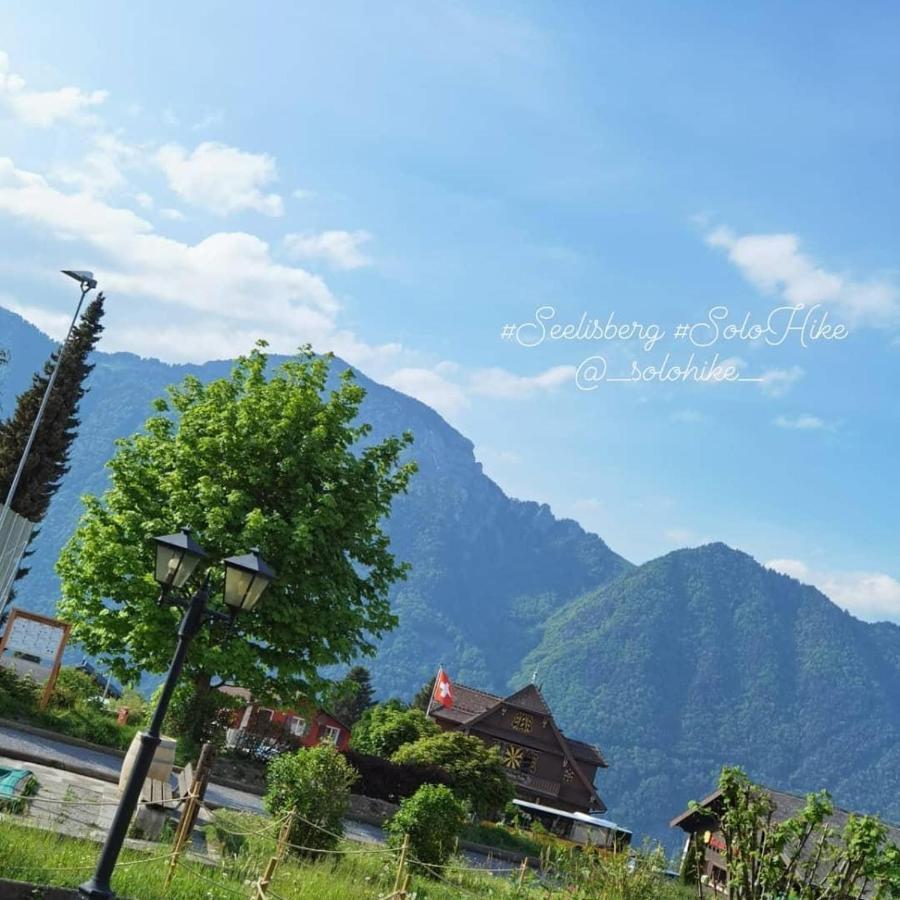 Schoene Ferienwohnung In Traumlage Fewo Solohike Seelisberg Exterior photo